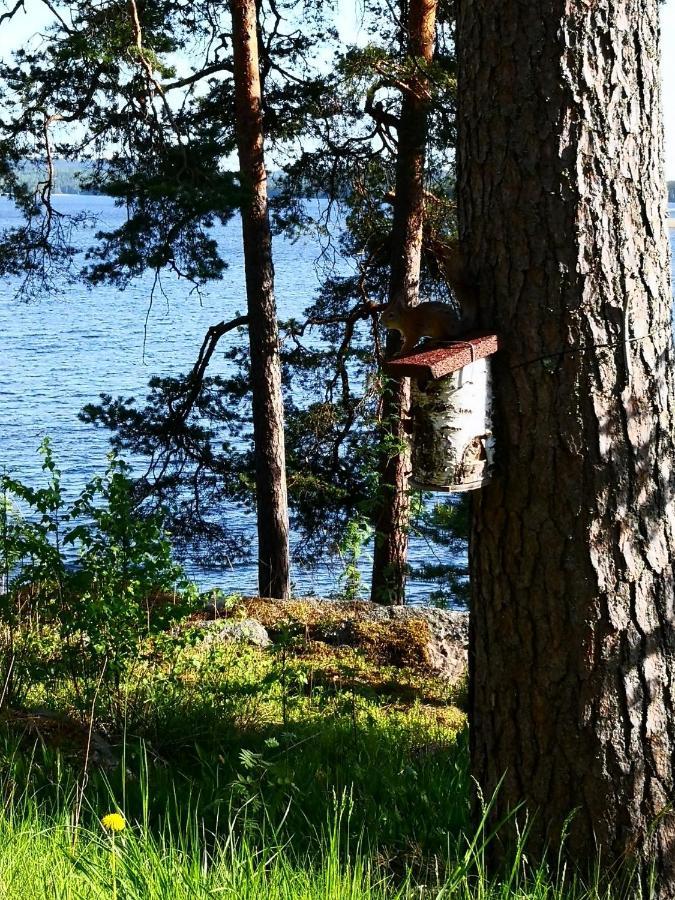 Club House Hotelli Kaipolan Ranta Jämsä Esterno foto